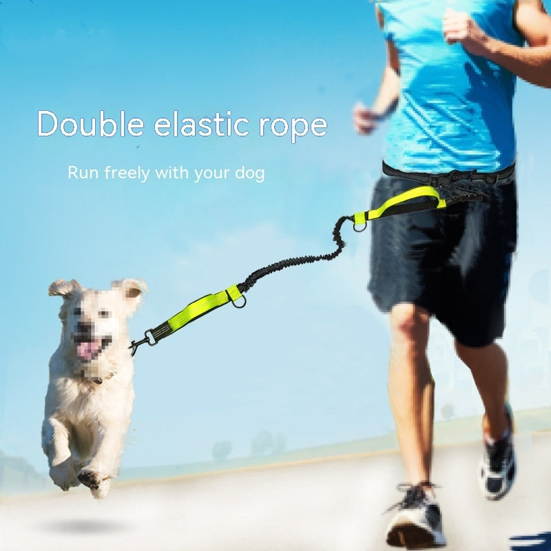 Laisse Mains Libres pour Courir avec son Chien (Amortisseur)