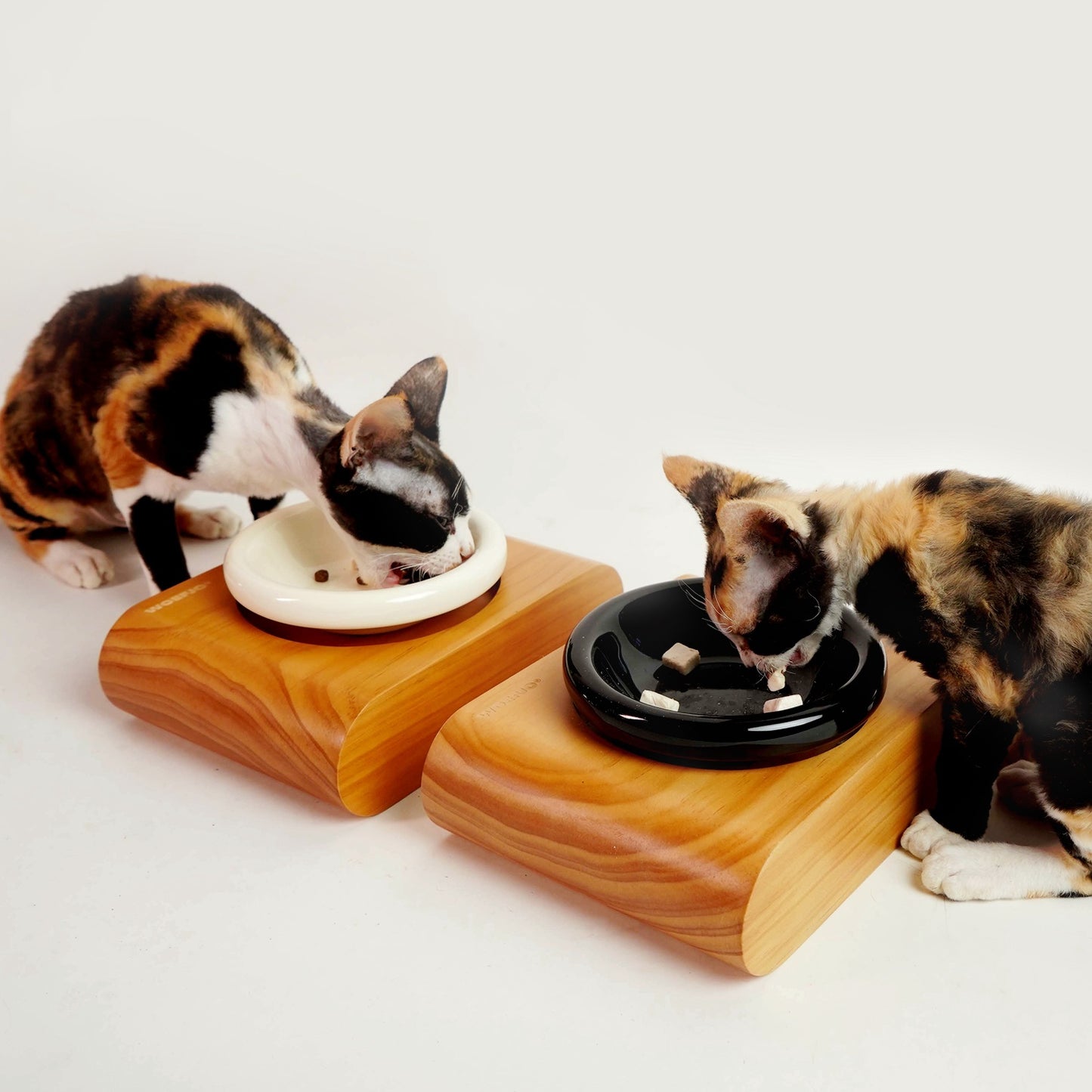 Collar Ergonómico con Plato Resistente Para Mascotas