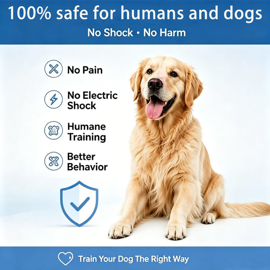 Dispositivo antiladrar ultrasonico para perros, portátil con linterna LED y 3 modos de entrenamiento室内部分提到的产品名称是英文，翻译成西班